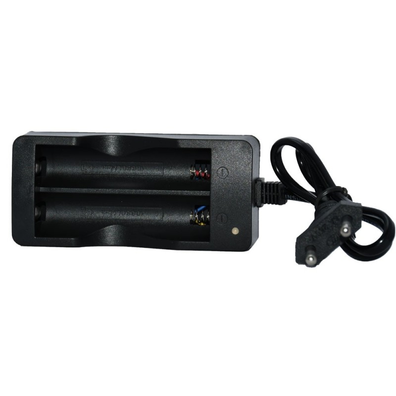 شارژر اتوماتیک دو باتری مدل SM-202A